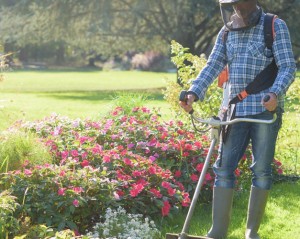 Création et entretien de jardin et gazon en BtoB sur un secteur de niche