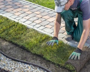 Entreprise de paysagiste