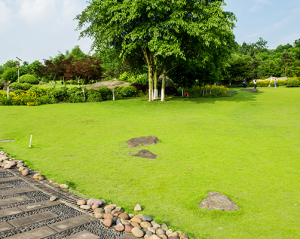 Entreprise d’aménagements paysager en activité depuis plus de 30 ans